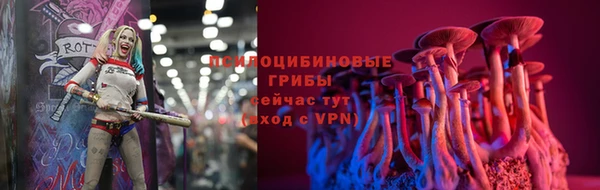 spice Мегион