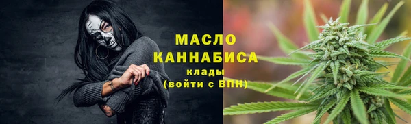 гашик Медногорск